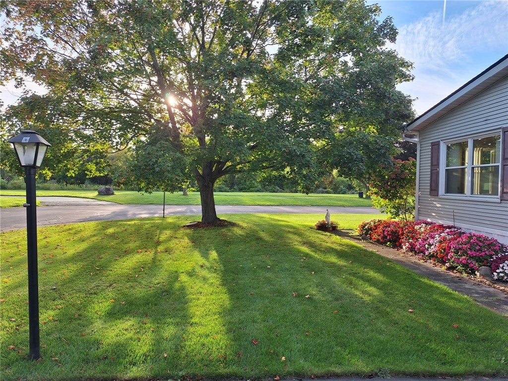 6436 Murphy Drive 71