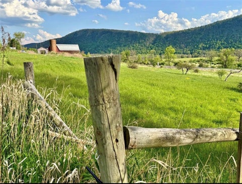 Vacant Land For Sale - Curren Road<br/> Chemung County, Big Flats, NY 14903