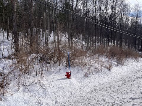 Tiny photo for 0 Rt-64, Bristol, NY 14424 (MLS # R1660223)