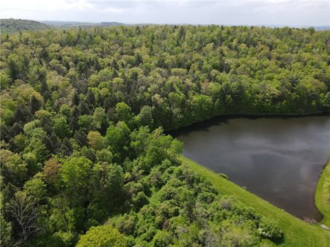 VL Lot 1 Hardscrabble Road Addison NY 14801