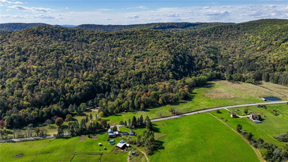 1877 Wolf Creek Road, Cuba, New York image 43