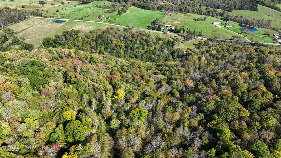 1877 Wolf Creek Road, Cuba, New York image 42