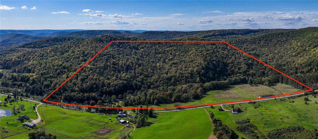 1877 Wolf Creek Road, Cuba, New York image 40
