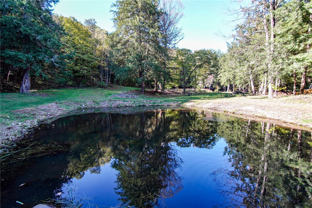 1877 Wolf Creek Road, Cuba, New York image 39