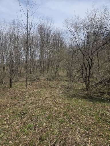 Doyle Road, Brookfield, New York image 9