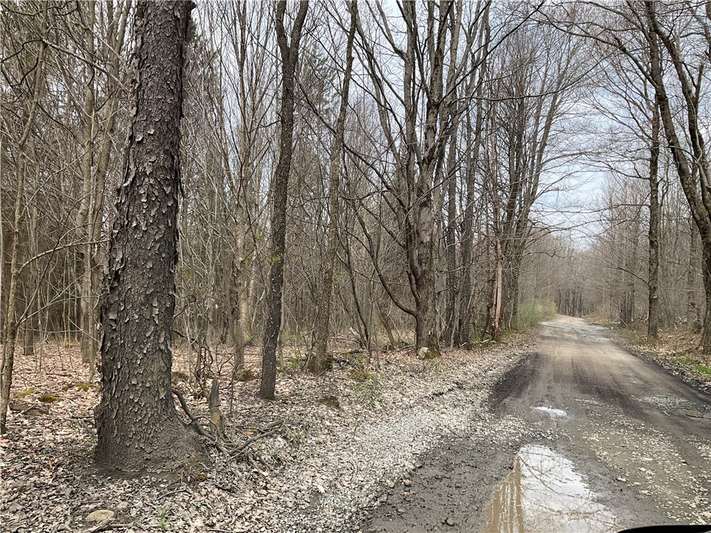 Doyle Road, Brookfield, New York image 7