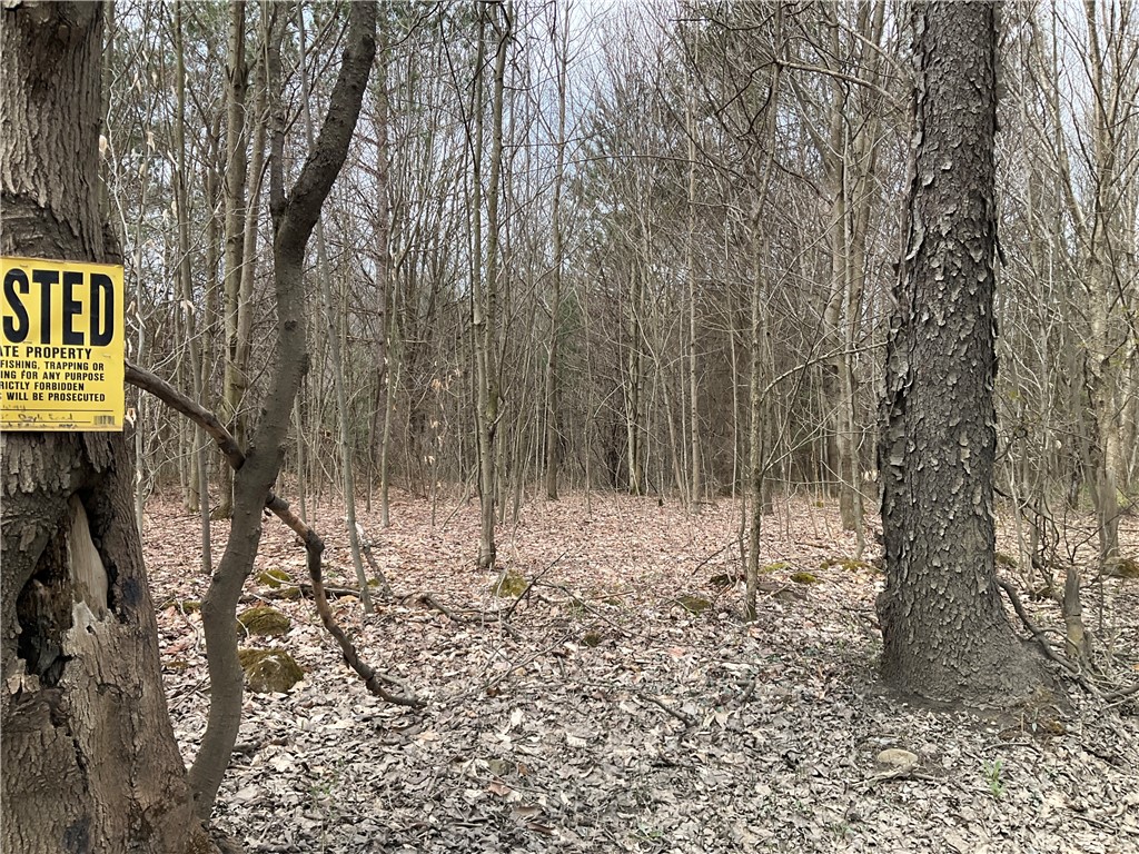 Doyle Road, Brookfield, New York image 4