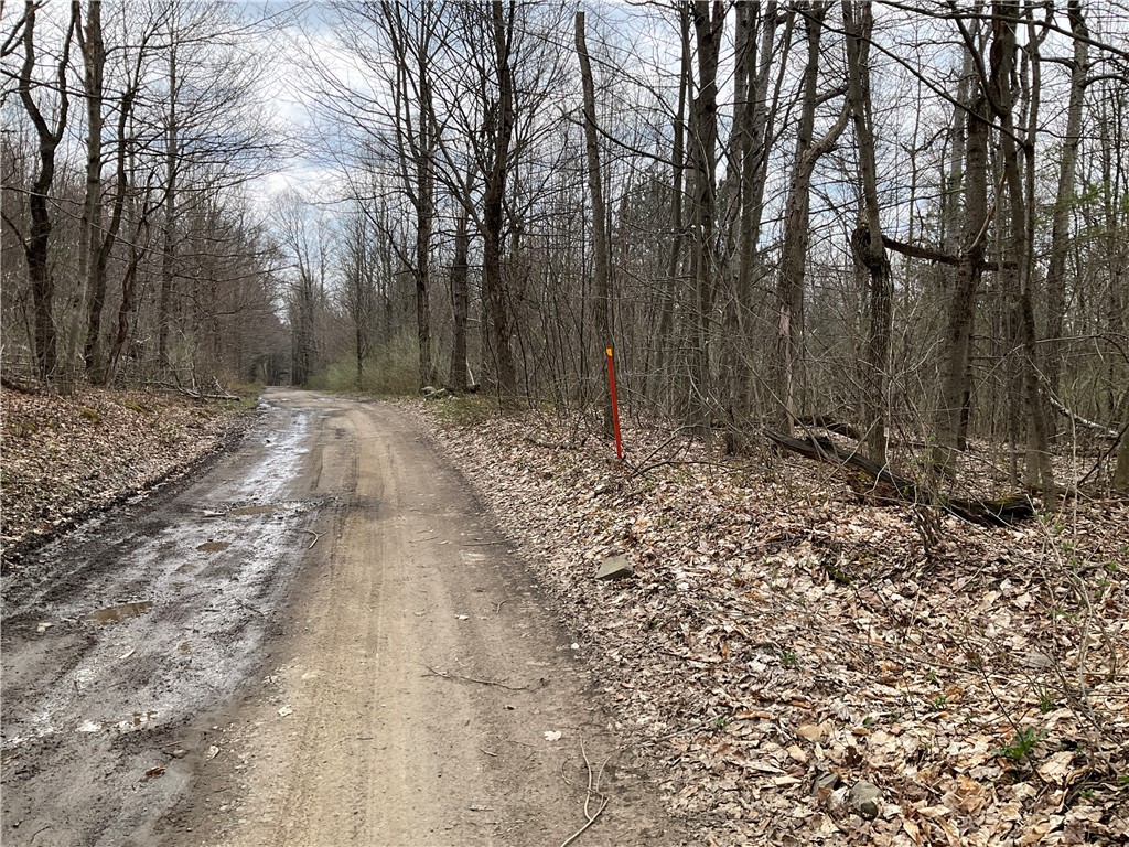 Doyle Road, Brookfield, New York image 5