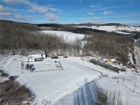 Vacant Land For Sale - 3533 County Route 82<br/> Troupsburg, NY 14885