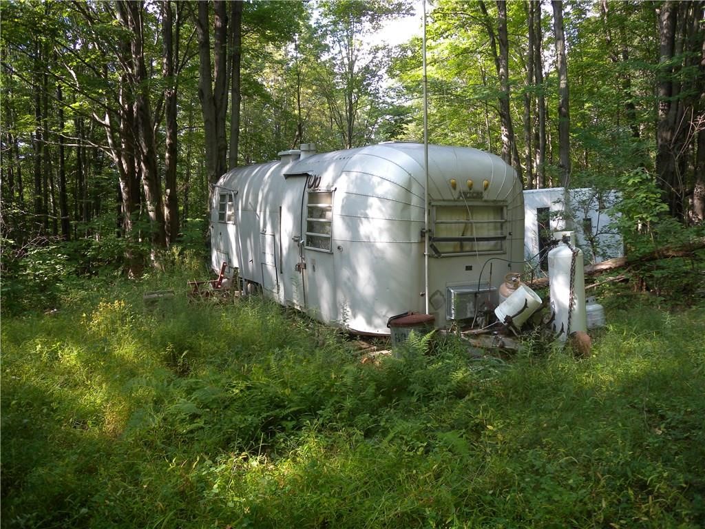 1454 Crane Lane, Woodhull, New York image 7