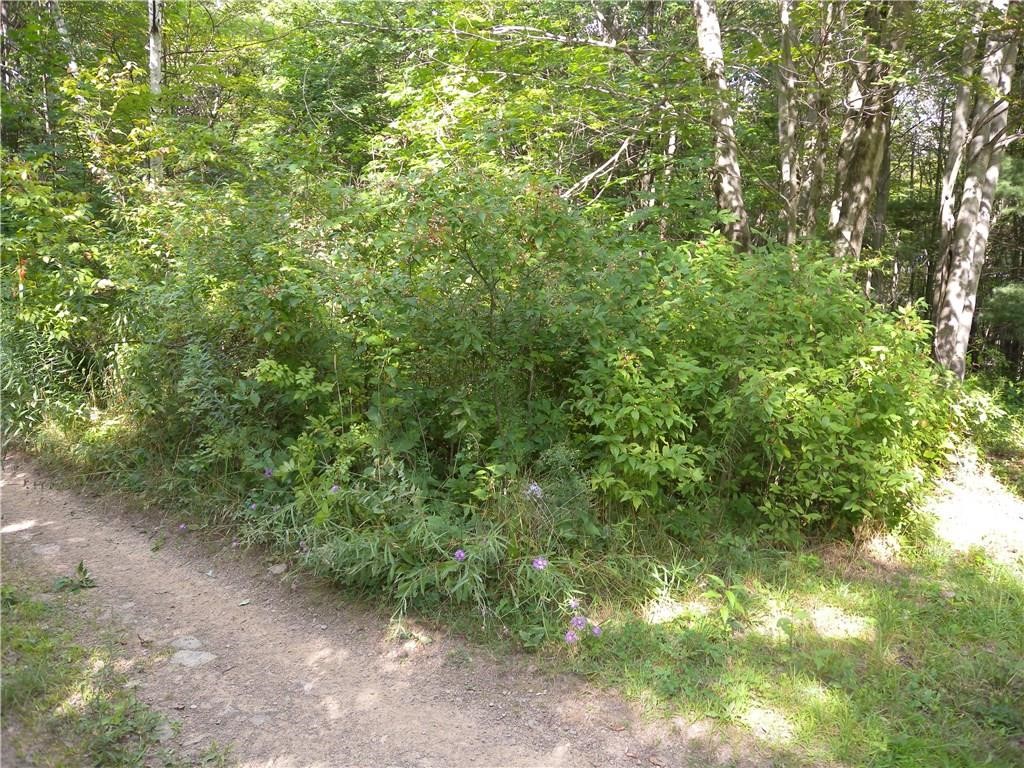 1454 Crane Lane, Woodhull, New York image 5