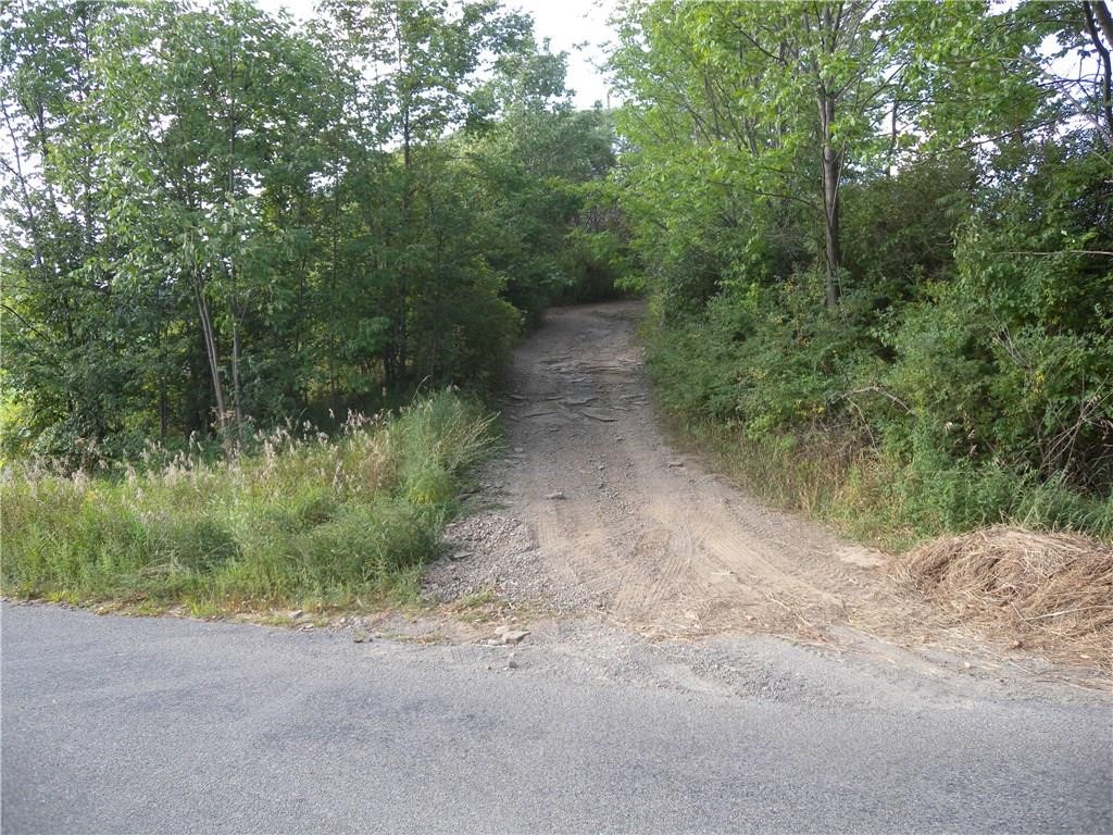 1454 Crane Lane, Woodhull, New York image 1