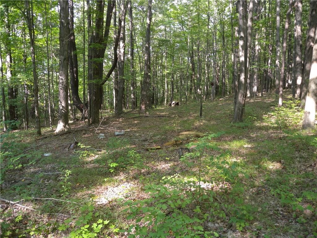 1454 Crane Lane, Woodhull, New York image 9