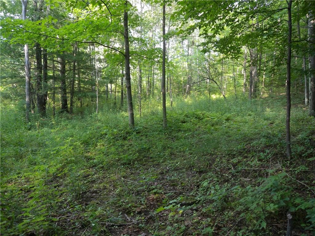 1454 Crane Lane, Woodhull, New York image 14