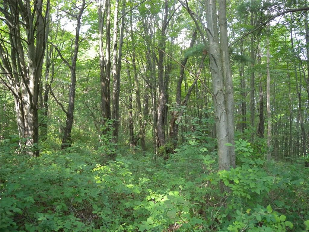 1454 Crane Lane, Woodhull, New York image 13