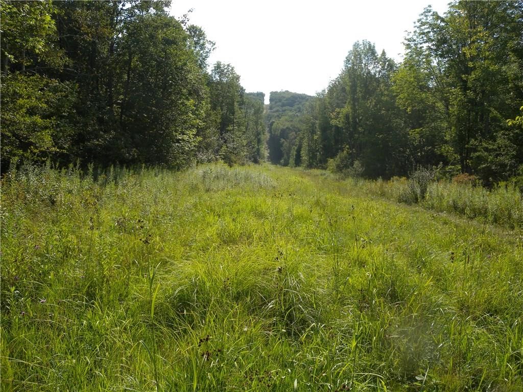 1454 Crane Lane, Woodhull, New York image 18