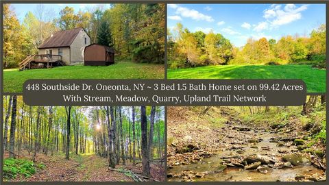 448 Southside Drive Oneonta NY 13820