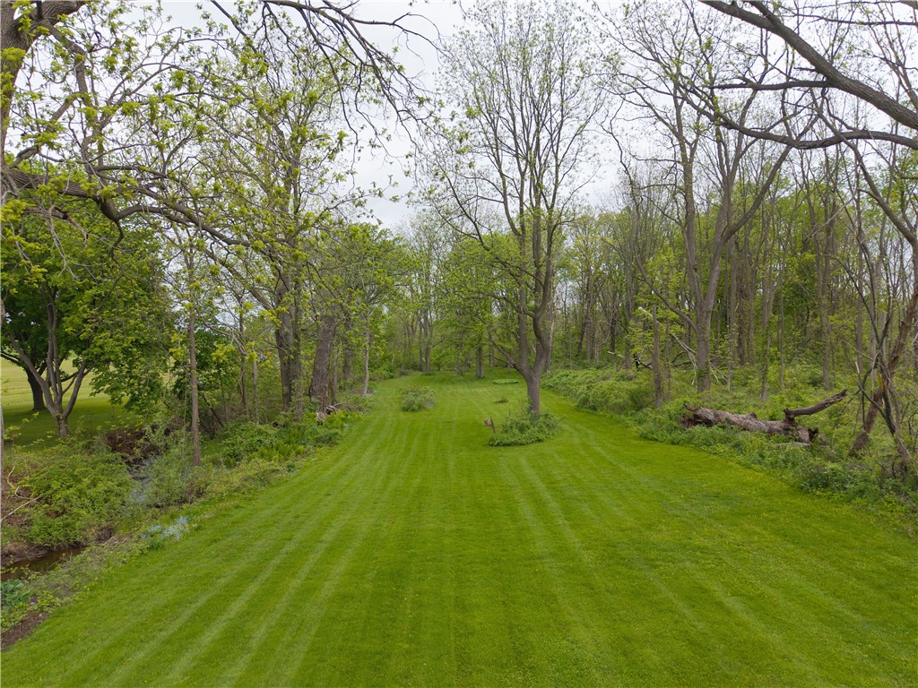3502 Pebble Beach Road, Livonia, New York image 3