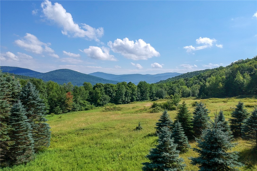 1644 Todd Mountain Road, Middletown, New York image 9