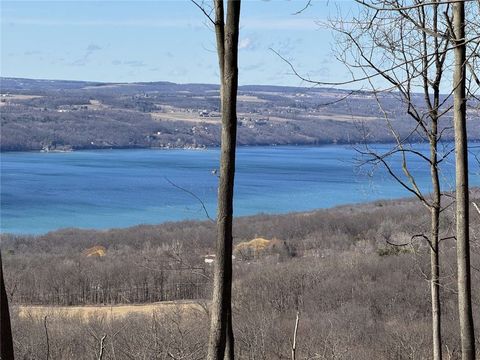 Vacant Land For Sale - Satterly Hill Road<br/> Schuyler County, Hector, NY 14818