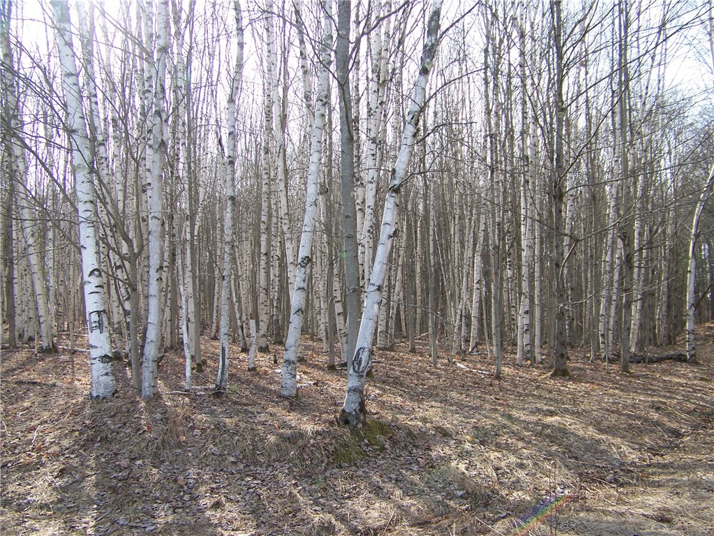 191 West Extension, Laurens, New York image 7