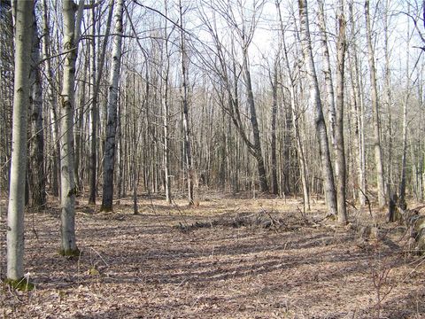 Vacant Land For Sale - 191 West Extension<br/> Laurens, NY 13820