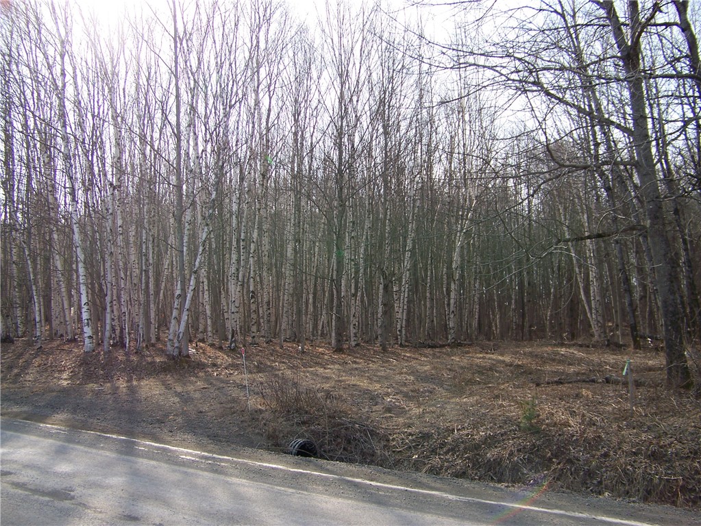 191 West Extension, Laurens, New York image 9