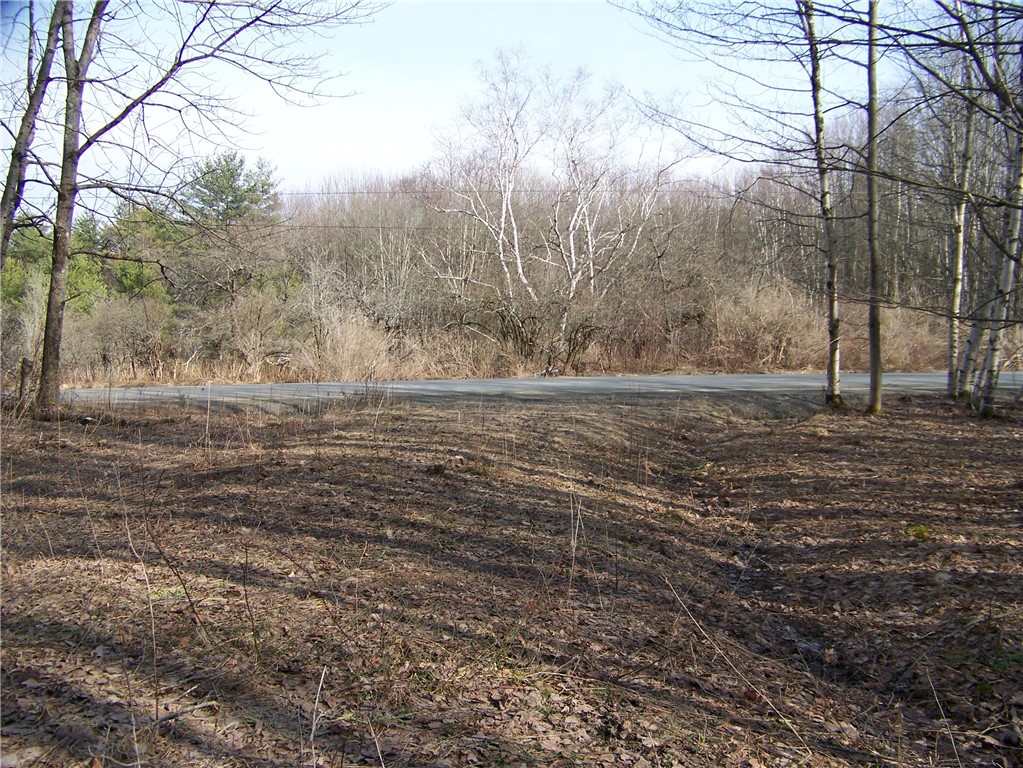 191 West Extension, Laurens, New York image 2