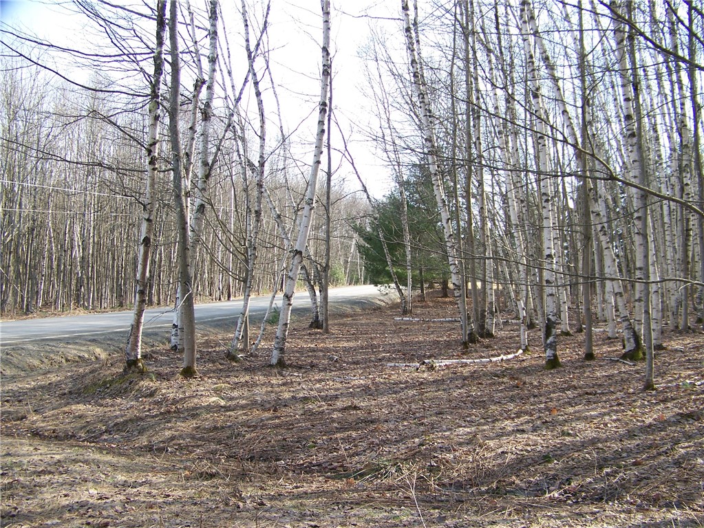 191 West Extension, Laurens, New York image 4