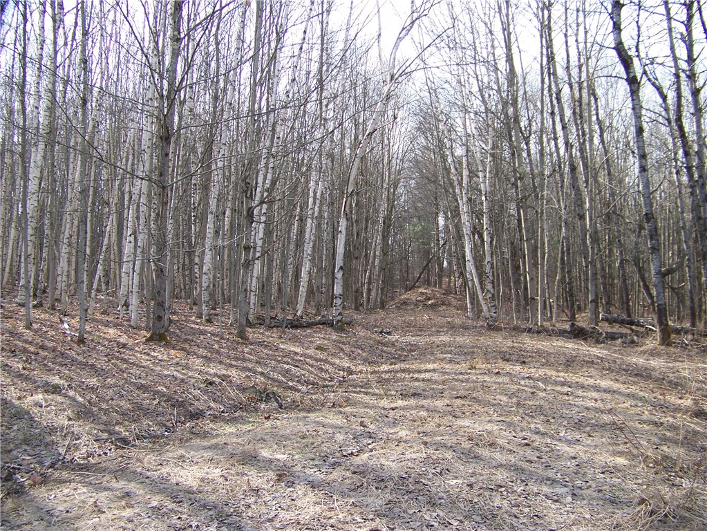 191 West Extension, Laurens, New York image 8