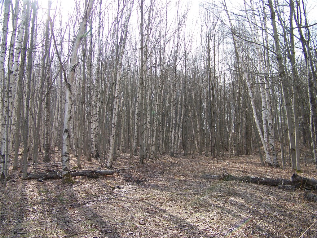 191 West Extension, Laurens, New York image 5