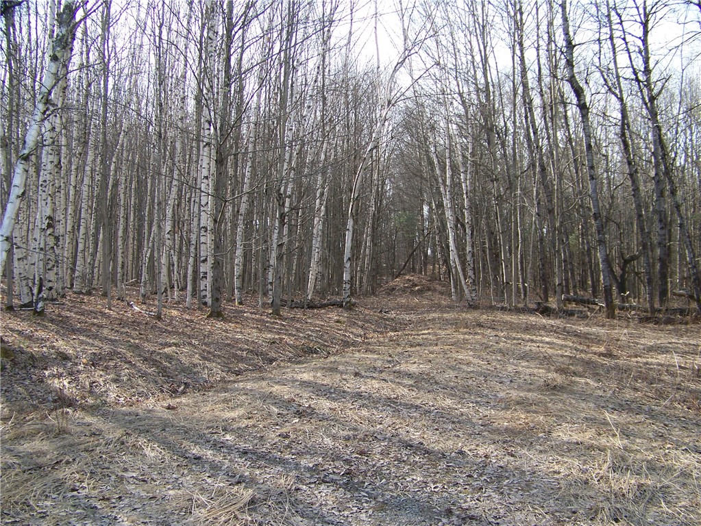 191 West Extension, Laurens, New York image 3