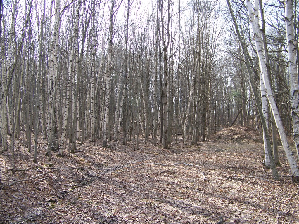 191 West Extension, Laurens, New York image 6