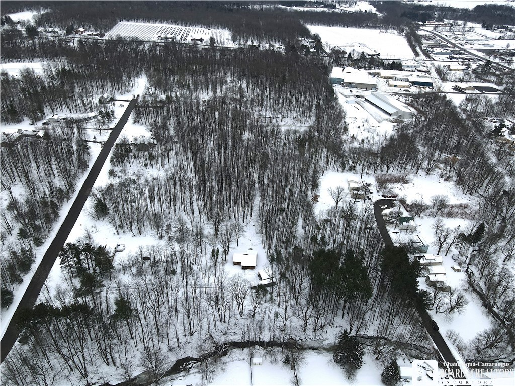 Dewey Avenue, North Collins, New York image 6