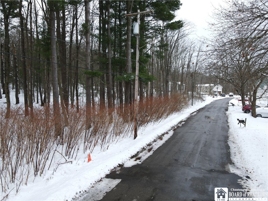 Dewey Avenue, North Collins, New York image 15