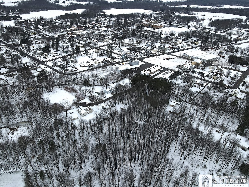 Dewey Avenue, North Collins, New York image 10