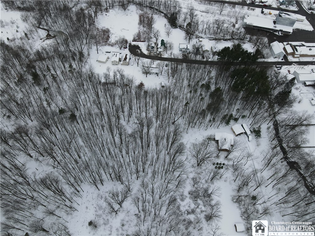 Dewey Avenue, North Collins, New York image 9