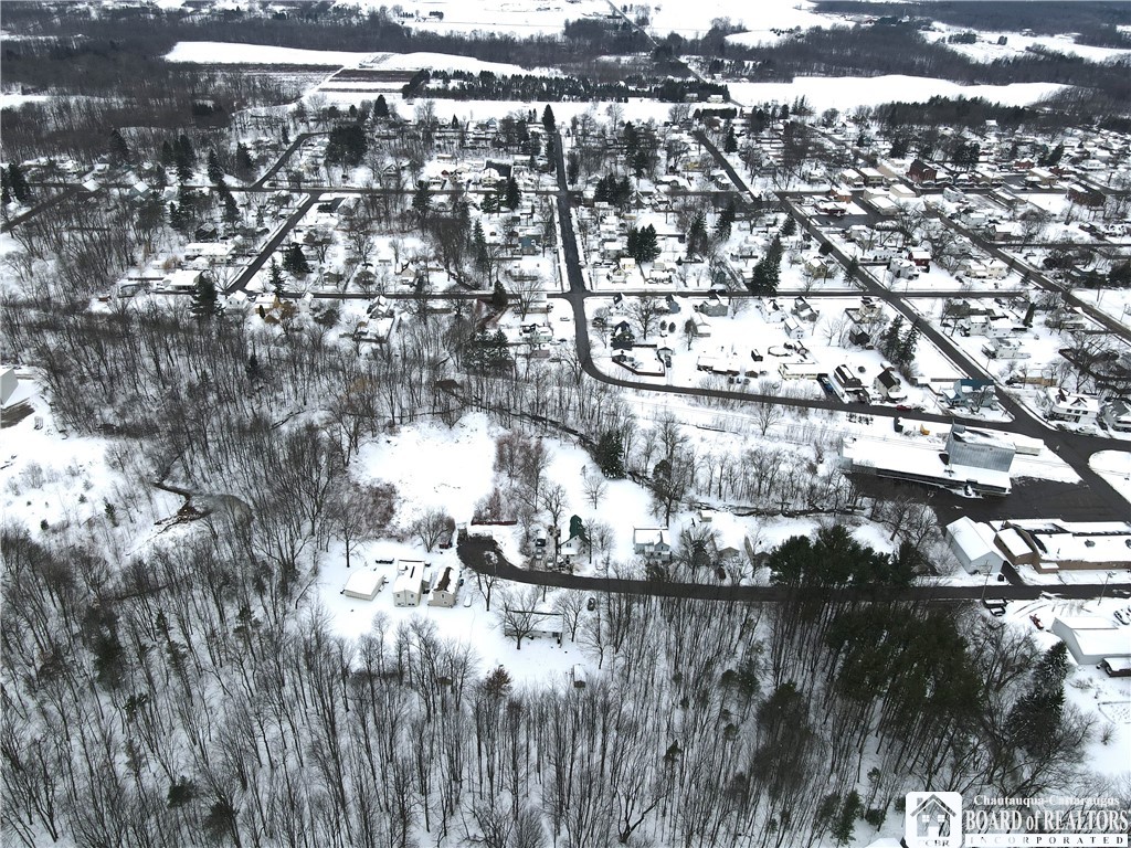 Dewey Avenue, North Collins, New York image 8