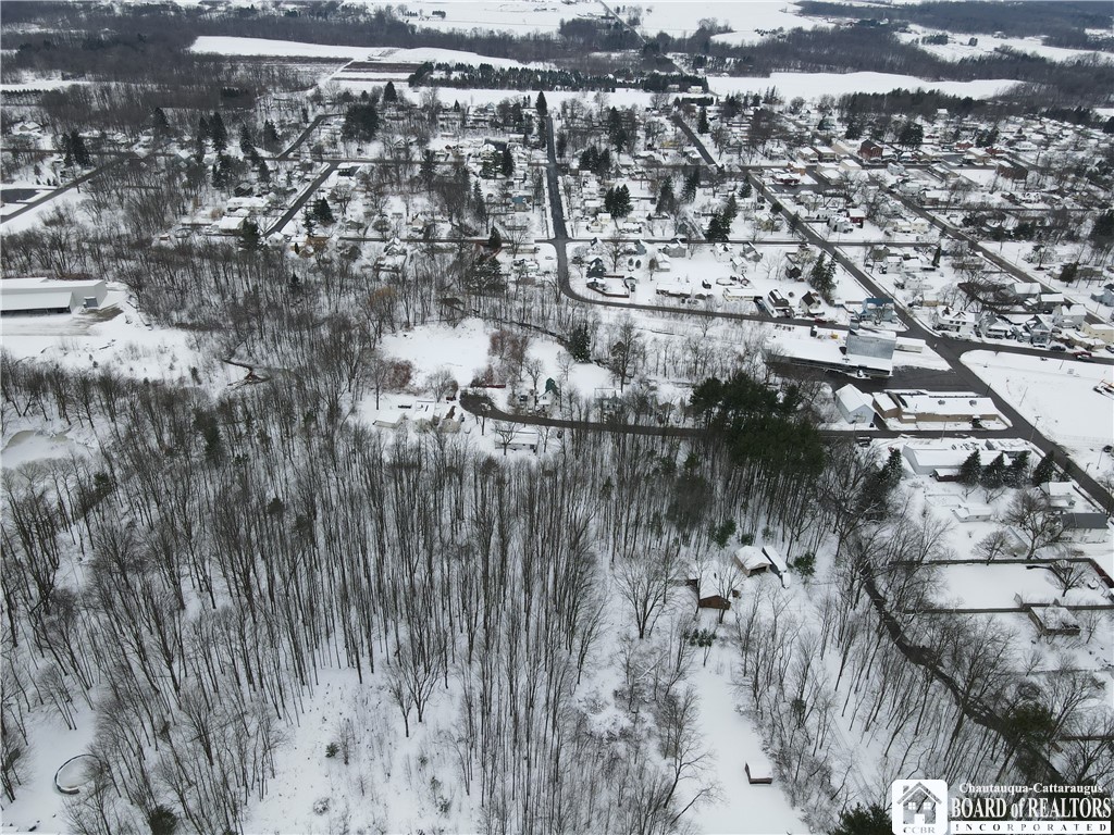 Dewey Avenue, North Collins, New York image 7