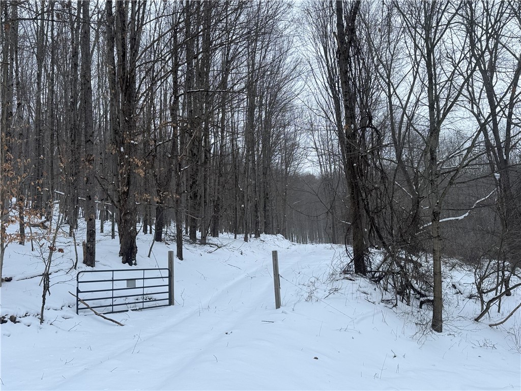 Gifford Hill Road, Milford, New York image 1