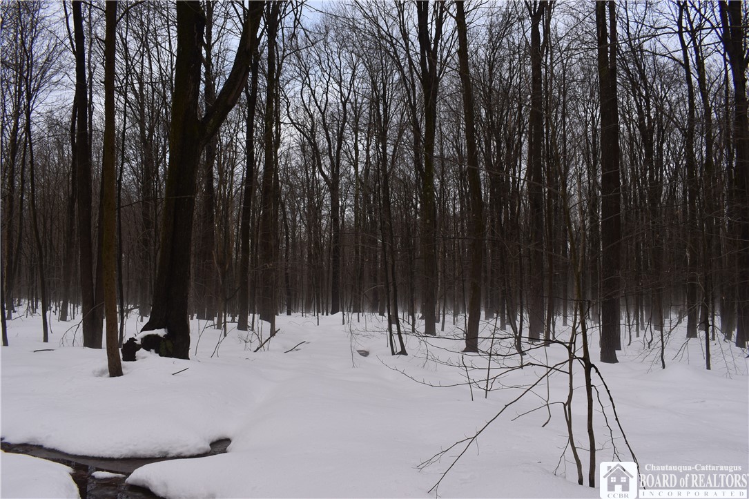 Harris Hill Road, Gerry, New York image 9