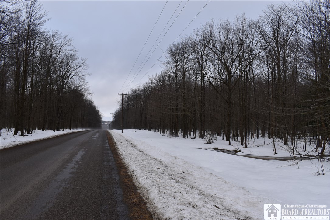 Harris Hill Road, Gerry, New York image 19