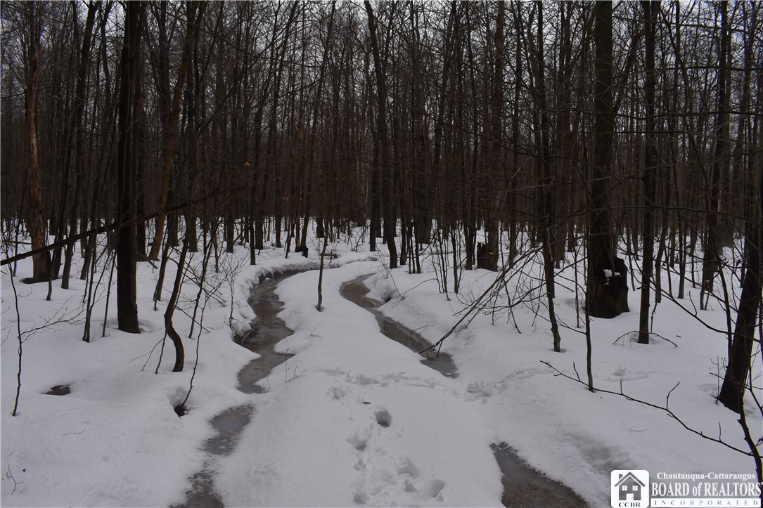 Harris Hill Road, Gerry, New York image 8