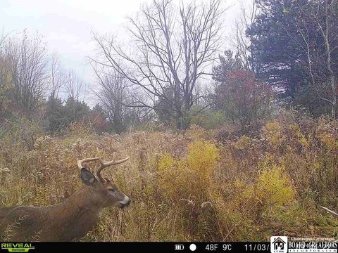 Tiny photo for 3396 Route 20A, Orangeville, NY 14167 (MLS # R1653880)