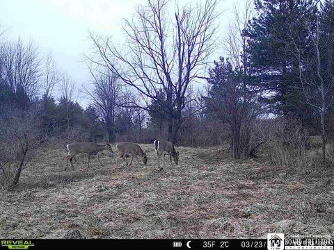 Tiny photo for 3396 Route 20A, Orangeville, NY 14167 (MLS # R1653880)