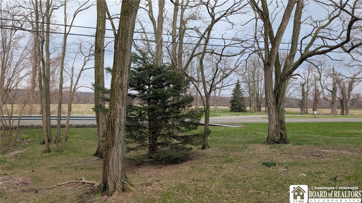 9788 E Main Road, Ripley, New York image 8