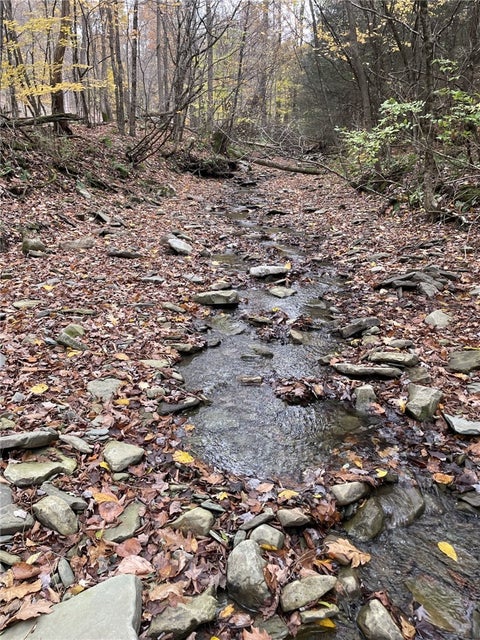 Vacant Land For Sale - Parker Road<br/> Campbell, NY 14821