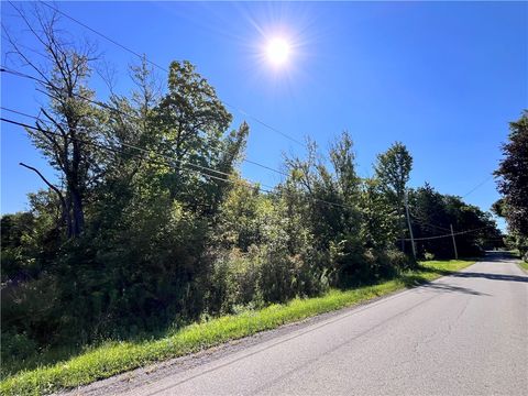 Vacant Land For Sale - Highland Avenue<br/> Portland, NY 14769