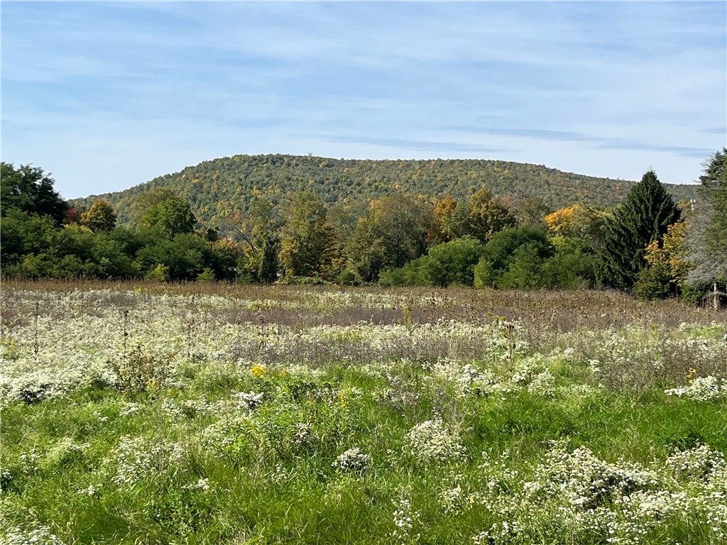 Chambers Road, Big Flats, New York image 1