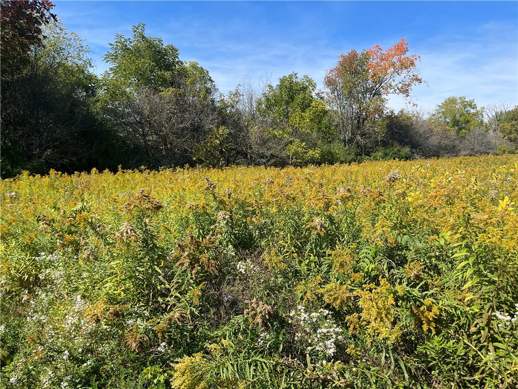 Chambers Road, Big Flats, New York image 19